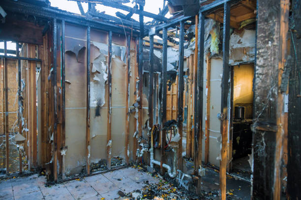 Professional Fire Damage Removal technician working in Lake Arbor, MD